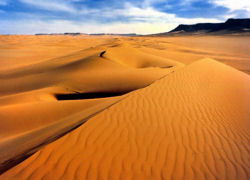 Les Oasis d`Egypte - Dune de sable  Qasr Douch